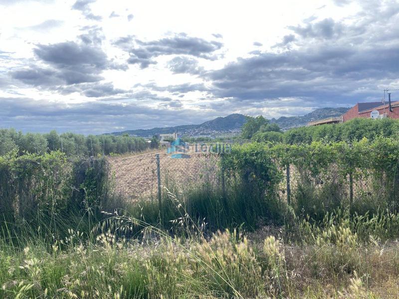 Foto b222ddf7-c715-475c-9825-e7a7dbcca3ba. Casale in Pau Lledó Castellón de la Plana