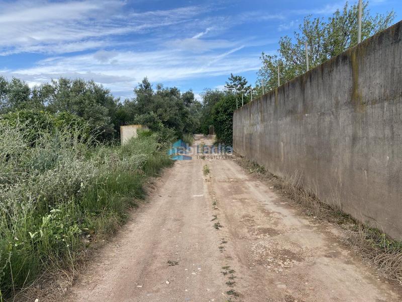 Foto c1e2be91-2054-4058-ac67-d6e4d96ad407. Casale in Pau Lledó Castellón de la Plana