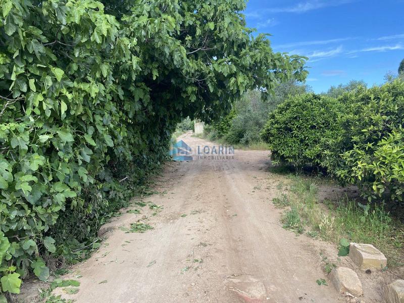 Foto fc41c0b4-587b-4cda-80dc-d146ca047829. Casale in Pau Lledó Castellón de la Plana