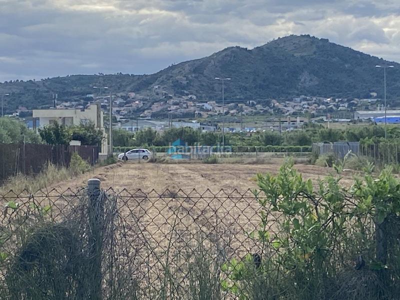 Foto 9b7ea4c8-247e-40f9-995d-460e19bfac68. Mas dans Pau Lledó Castellón de la Plana