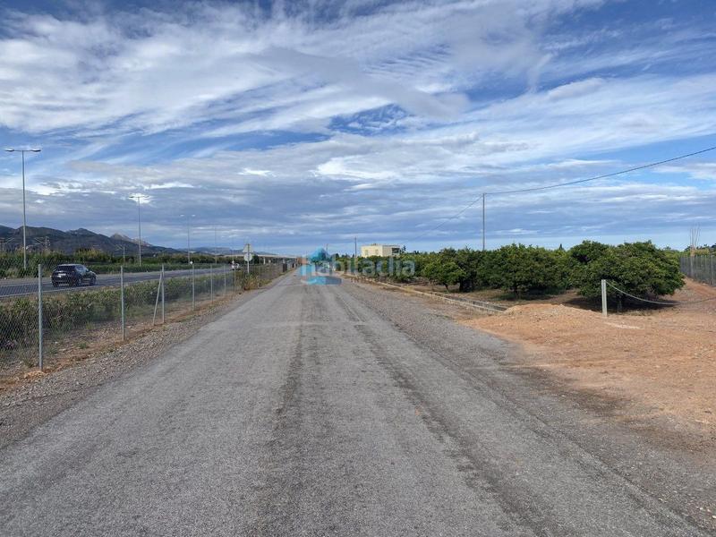 Foto c54b988f-9361-4989-90cd-233ffe464292. Mas dans Pau Lledó Castellón de la Plana