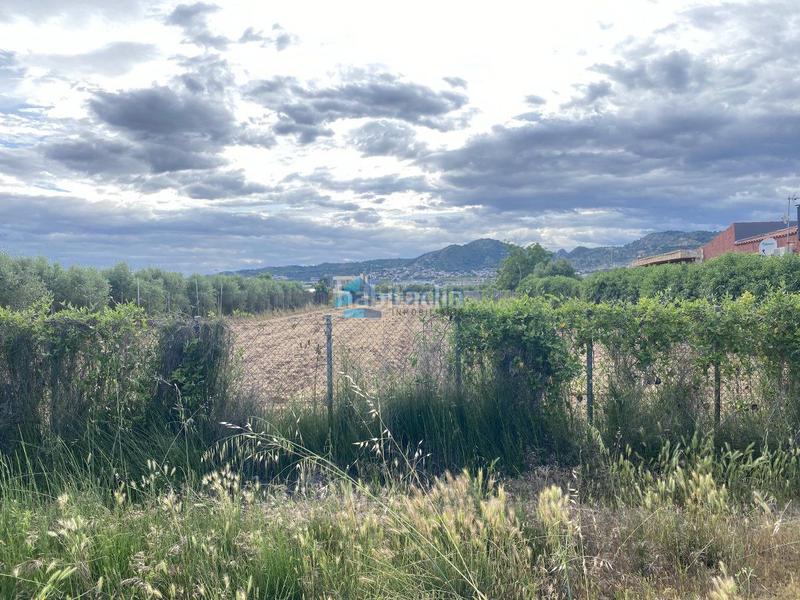 Foto edbd30e3-5737-4c36-8a51-6725c8c0d67d. Mas dans Pau Lledó Castellón de la Plana