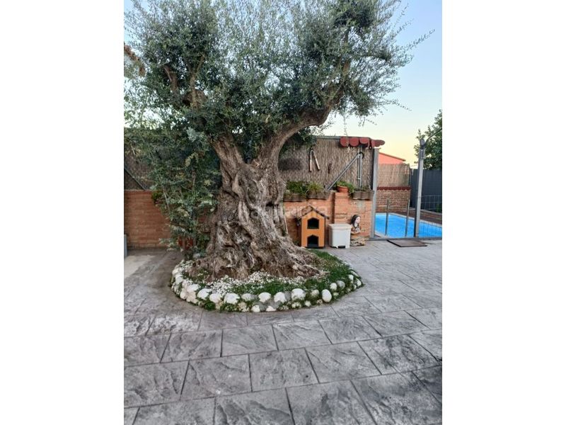 Foto 572a6915-b220-431a-a792-d1d9bf4609d3. Casa amb piscina a Els Avets-Can Serrafossà-Ximelis Rubí