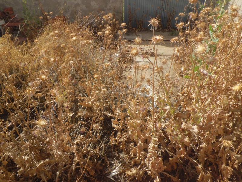 Foto ece7f2bc-33e2-484b-915d-3aae5e30a205. Casa a Doña Inés Lorca