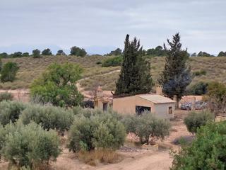 Finca rústica a Aledo. Finca y cortijo en aledo