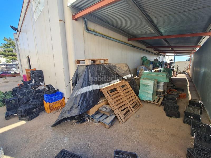 Foto 22cb03b4-f63a-46aa-88ab-75bb0634ff88. Rent industrial building in La Hoya Lorca