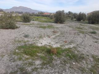 Residential Plot in Torrecilla. Parcela torrecilla