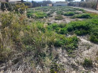 Terrain résidentiel à Diseminado la tercia 11. Parcela en tercia