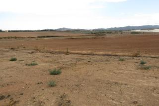 Terreno residencial en Totana. Finca de 5 hectareas