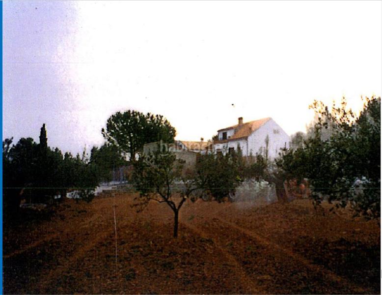 Foto 1cb45b02-c7ad-401a-93ed-4074a70012c0. Fondo rustico in Algímia de Alfara