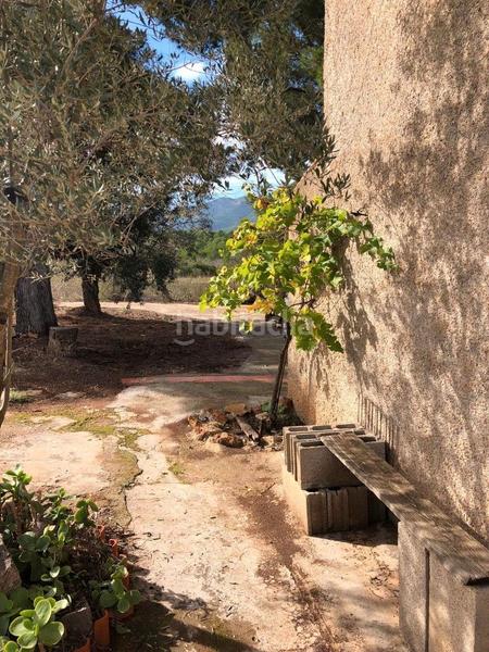 Foto 280ca2e3-70fe-4a5c-8afa-390ebd2fbbdf. Fondo rustico in Algímia de Alfara