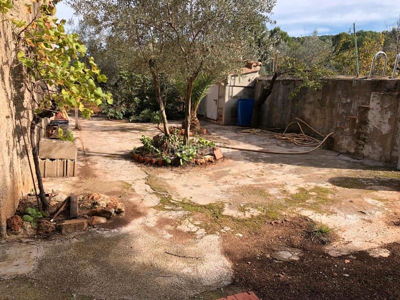 Foto 2f9dfbae-530a-4f6b-a0a3-d23c0c3bccfe. Fondo rustico in Algímia de Alfara