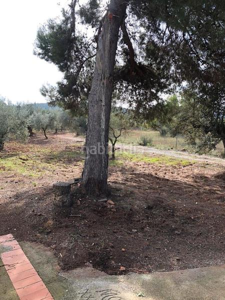 Foto 8d18182c-ee99-4f15-8f84-5a3910c48f77. Fondo rustico in Algímia de Alfara