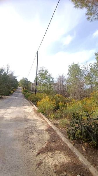 Foto 49a992de-fd64-4902-9cd8-95c3c571bd53. Terreny residencial a Cañadas de San Pedro Murcia