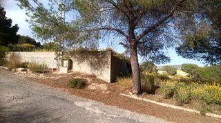 Terreno residenziale  San pedro. Pv100. parcelas  en cañada de san pedro  sucina.