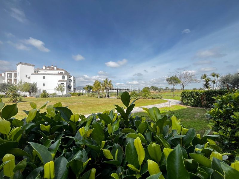 Foto 9460991f-c2bf-41da-84d3-69dd6cb7e51b. Planta baixa amb calefacció aparcament piscina a Murcia