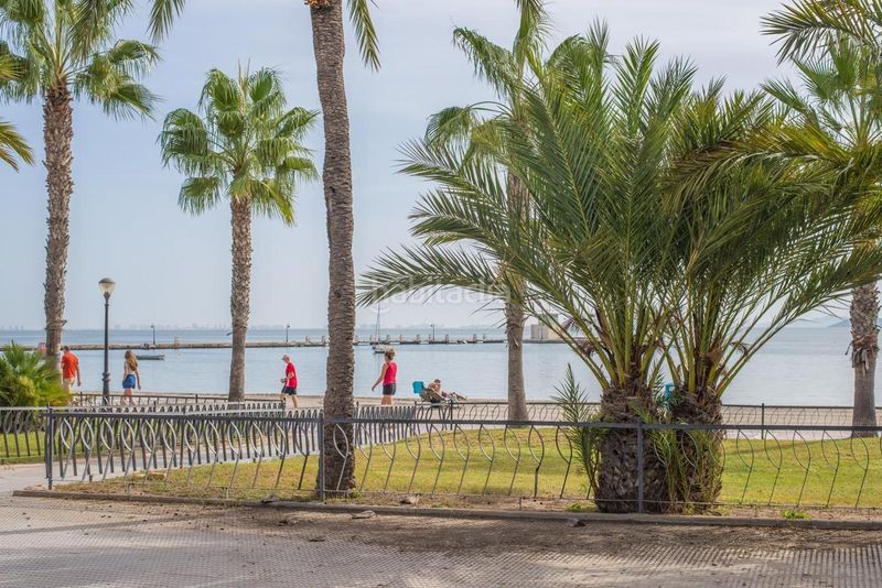 Foto 43c36b3e-86dc-4efd-ab48-7e2f9c04656e. Planta baixa a Centro Alcázares (Los)