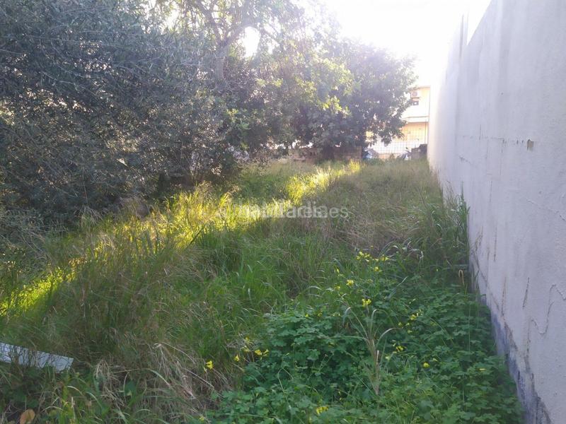 Foto dd99581d-2336-4f0f-814d-b24bedff1249. Terreno residencial en port d´Alcúdia-platja dálcúdia Alcúdia