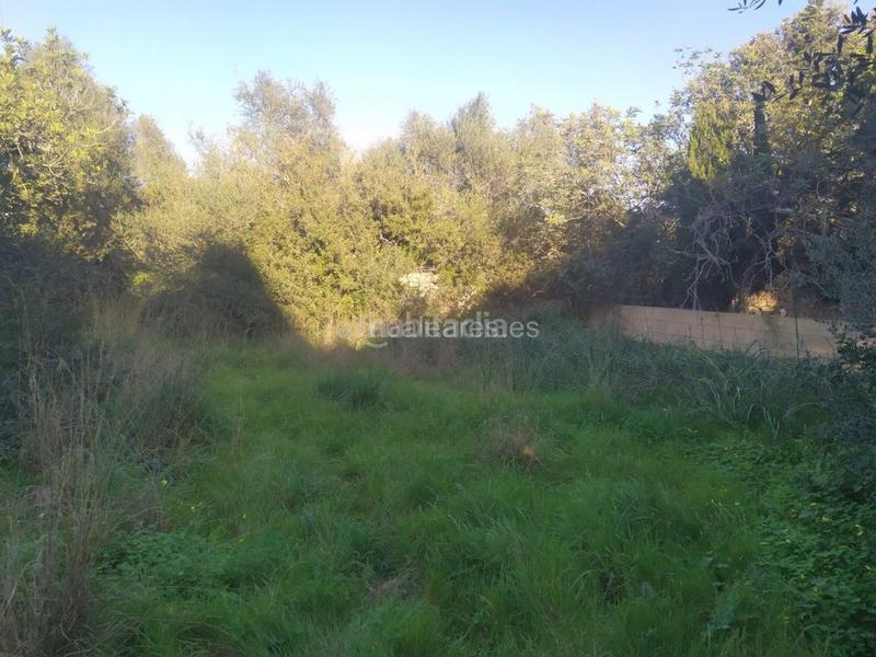 Foto f1fd79a0-ebb2-439d-92e5-06e4d7e7cf72. Terreno residencial en port d´Alcúdia-platja dálcúdia Alcúdia