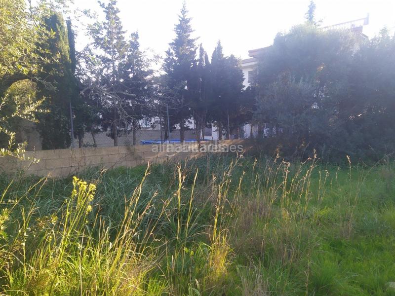 Foto f6a4e3c6-ce96-4985-8a24-6db81207eceb. Terreno residencial en port d´Alcúdia-platja dálcúdia Alcúdia