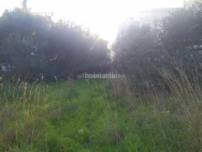 Foto d7e50c90-9315-4f10-957a-60240076cc36. Terreno residenziale in port d´Alcúdia-platja dálcúdia Alcúdia