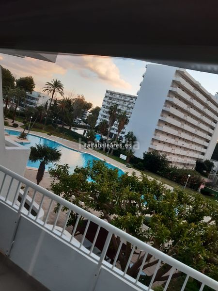 Foto de5d9a59-65c3-42c8-bd20-47e23d11ad12. Apartment with heating pool in port d´Alcúdia-platja dálcúdia Alcúdia