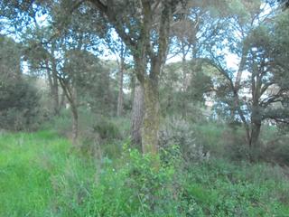 Terreno residencial en Llagostera