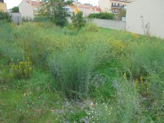 Terreny residencial a Llagostera