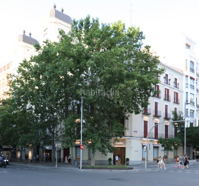 Foto 1519008b-0e53-4274-9411-eeca9dfa5ef7. Piso en Castellana Madrid