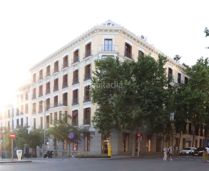 Foto 41b18619-133e-4719-a0a5-9c35a50edfed. Piso en Castellana Madrid