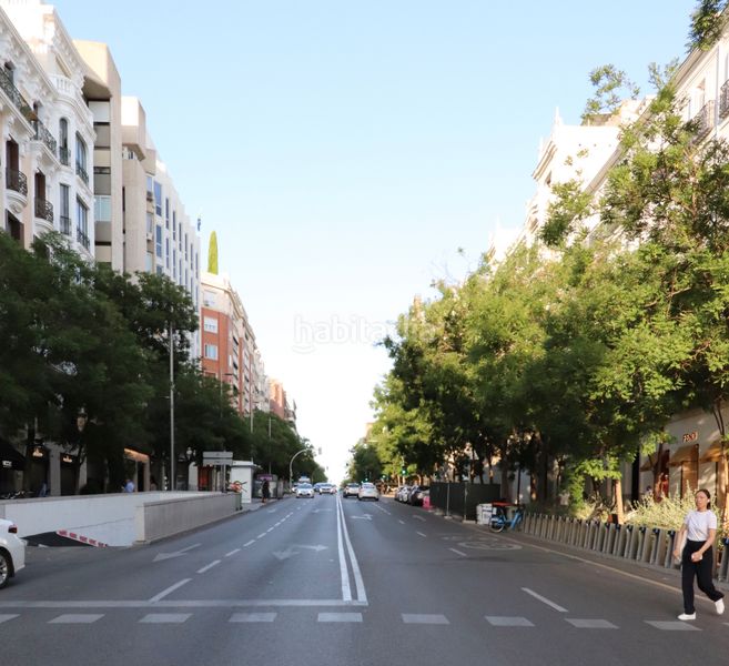 Foto 4886f909-8281-4eb0-af39-0e2b02146f39. Piso en Castellana Madrid