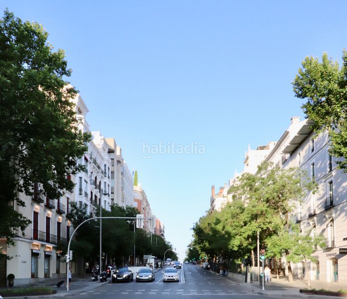 Foto 4e6b436a-355b-41ad-904b-e1f2ba6ca1cd. Piso en Castellana Madrid