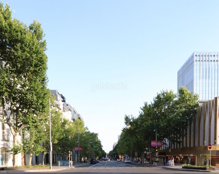 Foto 8580e7e3-68c7-4d2f-906a-636d577d1f38. Piso en Castellana Madrid