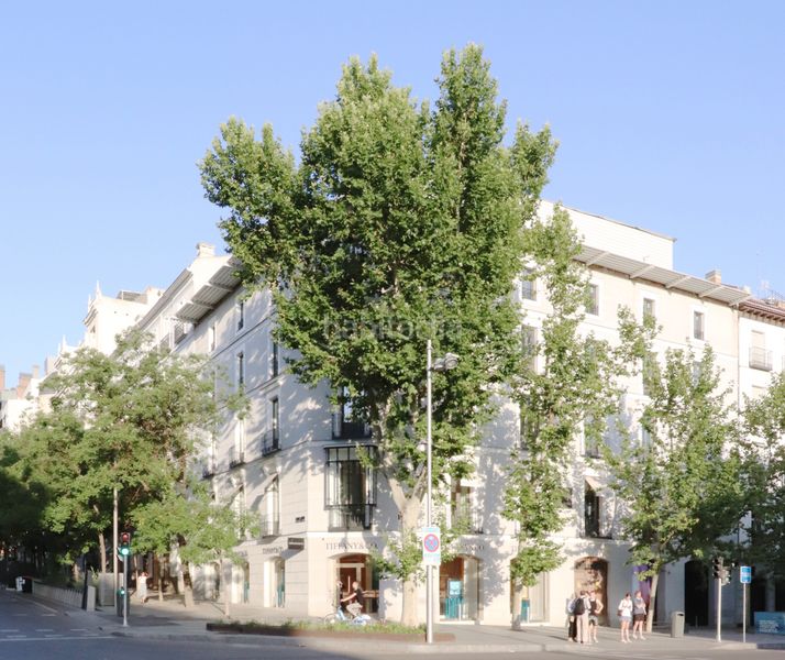 Foto a67bd724-5dfa-4140-8a4f-763ff910ac49. Piso en Castellana Madrid