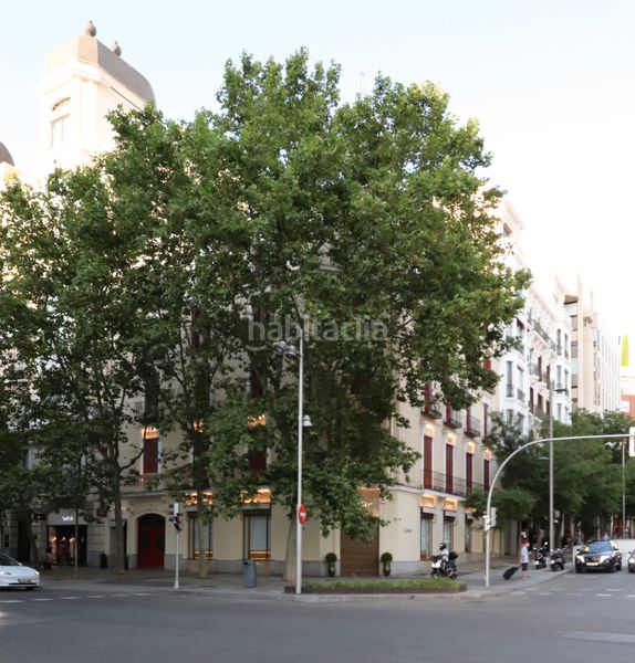 Foto eee1d9cb-fce2-4bfd-a994-55de47063eda. Piso en Castellana Madrid