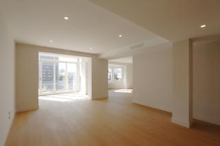Flat in Paseo de la Castellana