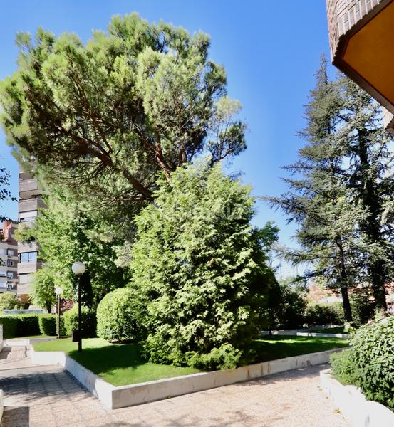 Foto cbb3b885-bbbd-486a-9120-42de7cdec9e5. Piso en Estrella Madrid