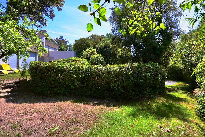 Foto 8d16e2e5-2fe4-4ba8-9687-8398d38ac3ba. Xalet amb xemeneia calefacció aparcament piscina a La Moraleja