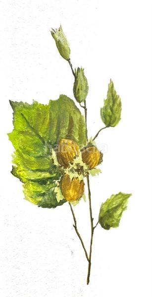 Foto 1e7776e0-aaca-4a16-ab1f-e024ce744f73. Affitto locale commerciale con riscaldamento in Creu de la Mà Figueres