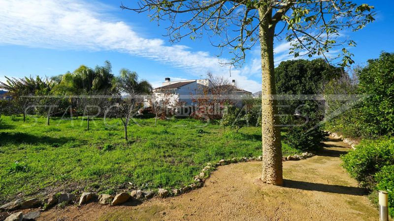Foto 83594024-6a3f-4116-97f4-bb05433d4a7d. Terreny residencial a Centro Pedreguer