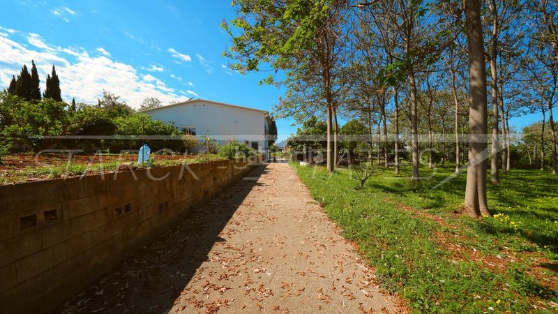 Foto c8ed56d4-07bb-41fa-b47b-3e77f6c80f15. Terreny residencial a Centro Pedreguer