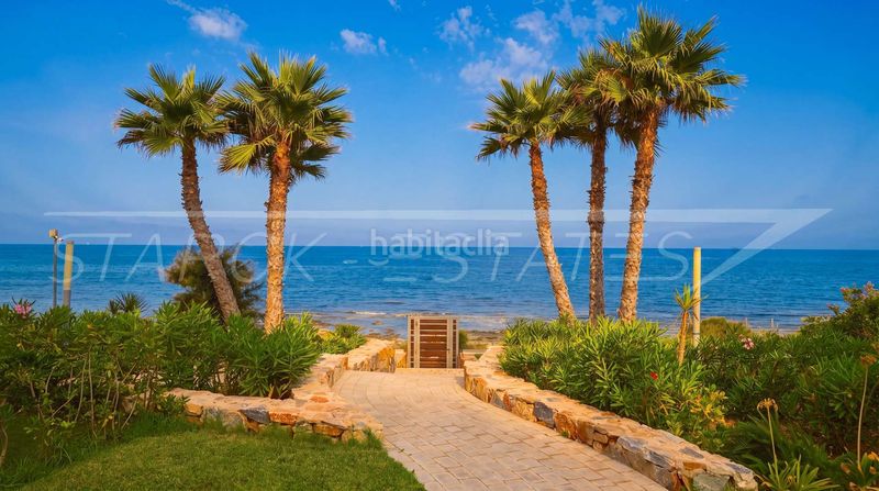 Foto 0fb93410-e4a6-44b3-8eb6-605d35e3e99e. Apartament amb piscina a Punta Prima Orihuela