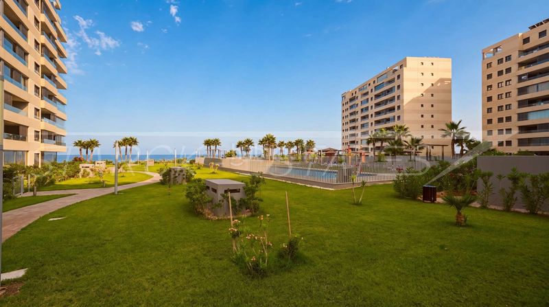Foto e98d9503-576b-41d0-a205-09e57ceec796. Apartament amb piscina a Punta Prima Orihuela