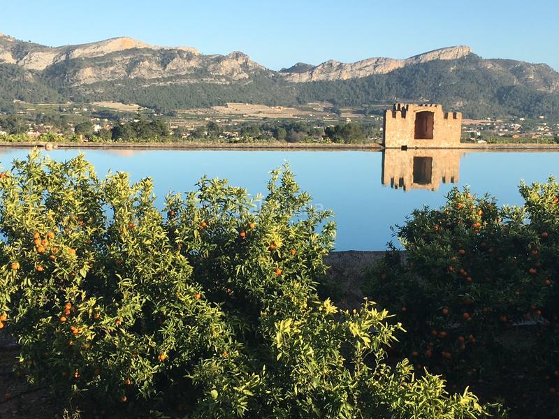Foto 130f0c6f-62c2-4beb-850f-8859e2eda5a7. Masia amb xemeneia calefacció aparcament piscina a Gandia