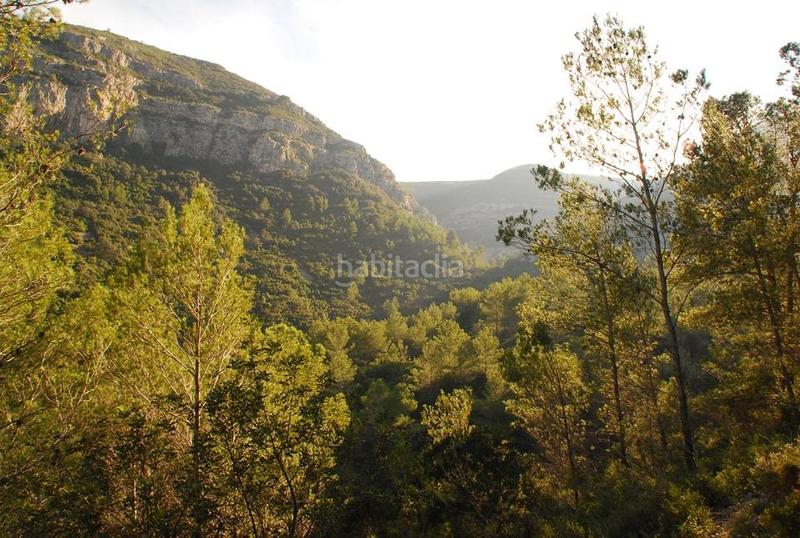 Foto 61ece5b1-317b-4994-9b24-768537eaab82. Masia amb xemeneia calefacció aparcament piscina a Gandia