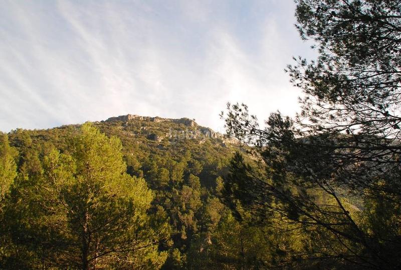 Foto b2eb4d86-8f32-429f-aea8-f4112a82d2a4. Masia amb xemeneia calefacció aparcament piscina a Gandia