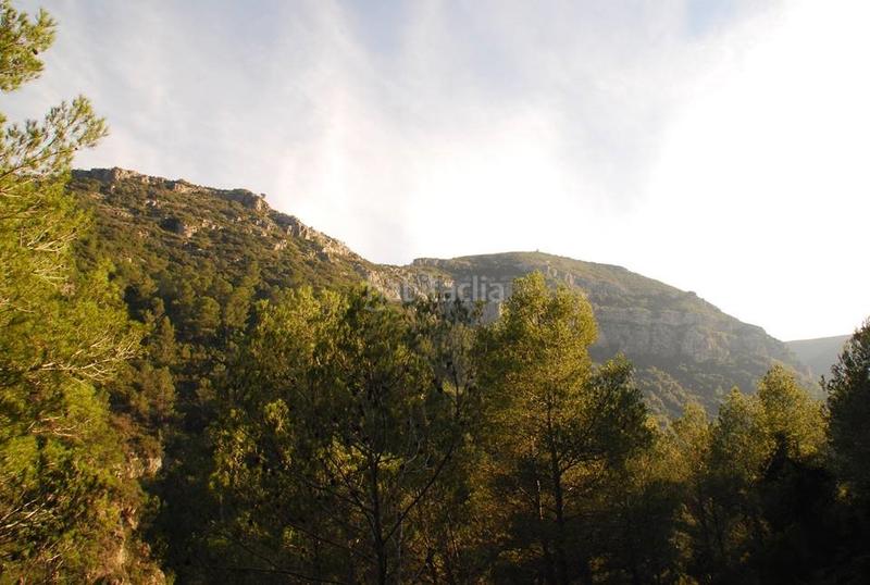 Foto c85903af-ef63-4608-8541-7e4aeb4949bb. Masia amb xemeneia calefacció aparcament piscina a Gandia