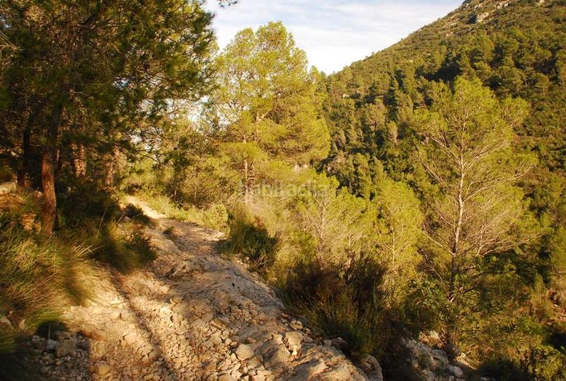 Foto eef7eada-adbe-4cb0-aaca-07330e342870. Masia amb xemeneia calefacció aparcament piscina a Gandia