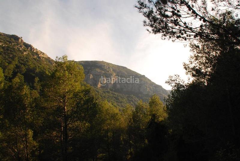 Foto f4c9abb3-34b8-462a-8a29-713ede6d9fd8. Masia amb xemeneia calefacció aparcament piscina a Gandia