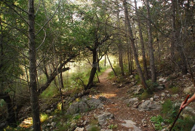 Foto f5cb2080-3eca-440d-87c2-06df98bfd392. Masia amb xemeneia calefacció aparcament piscina a Gandia